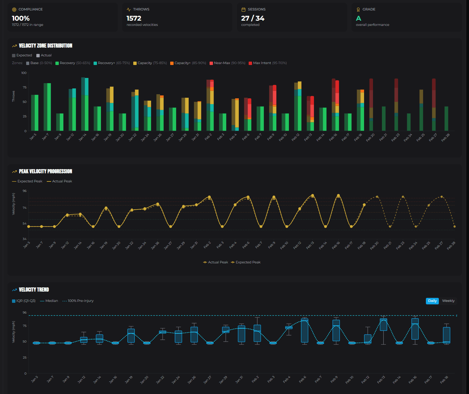 Velocity tracking dashboard: zone distribution, peak velocity progression, and velocity trend with pre-injury baseline